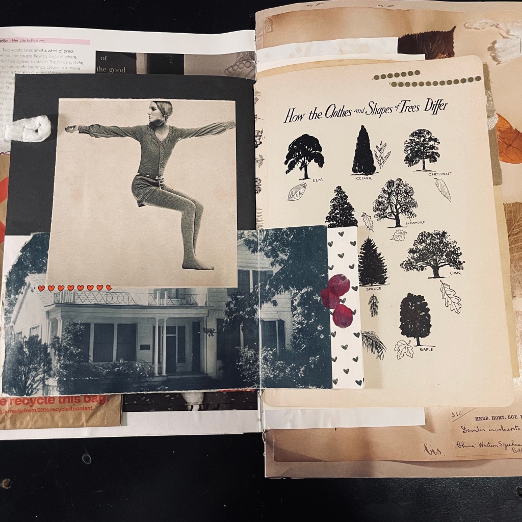 A woman doing a yoga type pose with an encyclopedia page detailing the leaves and bark of trees with an interactive flap
